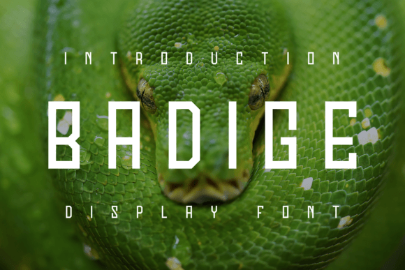 Badige: A Modern Display Font for Bold Impressions