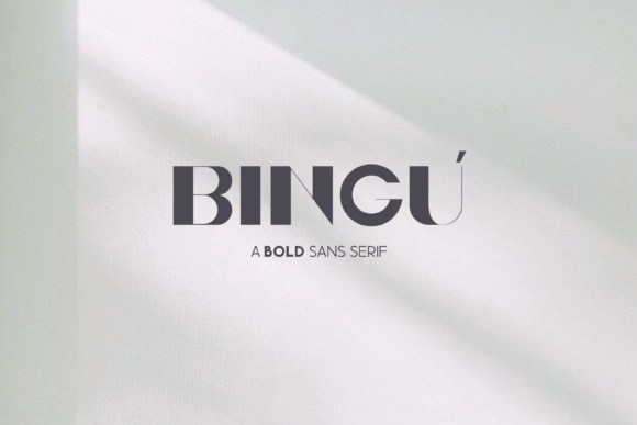 Bingu: A Versatile Display Font for Creative Projects