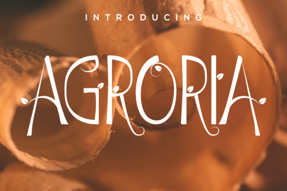 Exploring Agroria: A Stylish Display Font for Modern Design