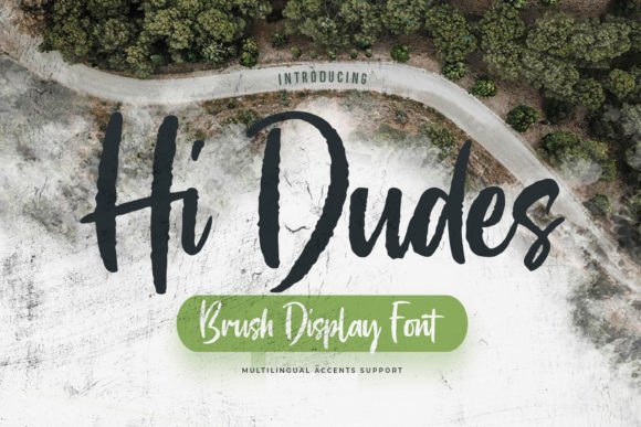 Hi Dudes: A Textured Brush Display Font with Natural Elegance