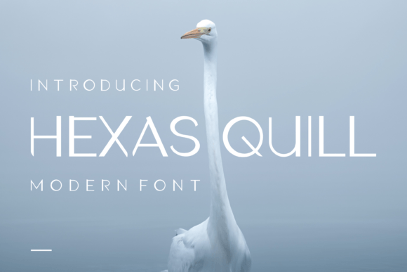 Unlocking Creativity with Hexas Quill: A Modern Display Font for Every Visionary