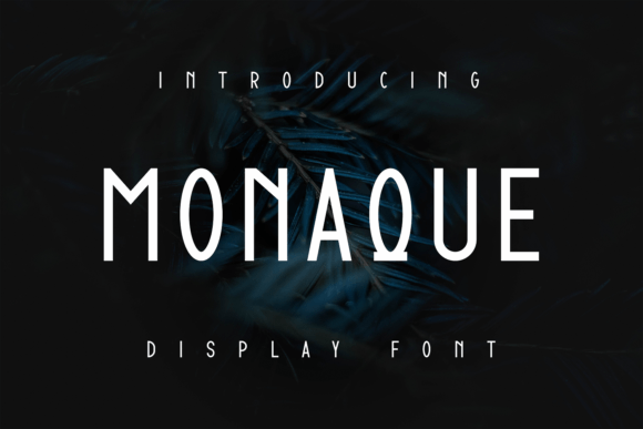 Unlocking Strategic Value with the Monaque Display Font